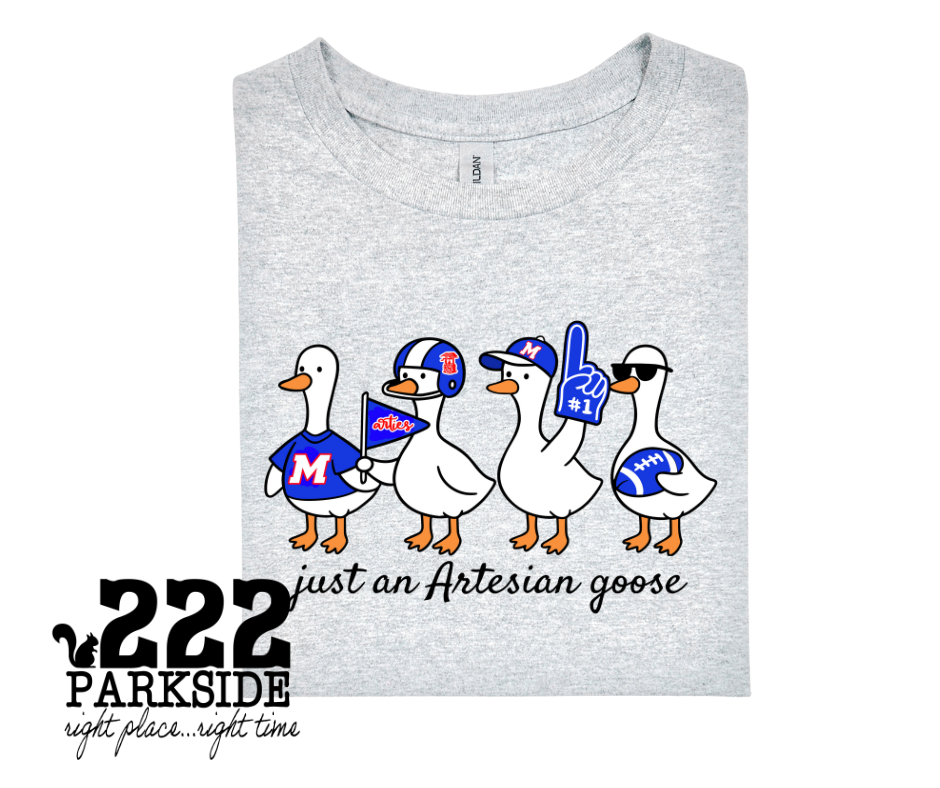 Just an Artesian goose tee