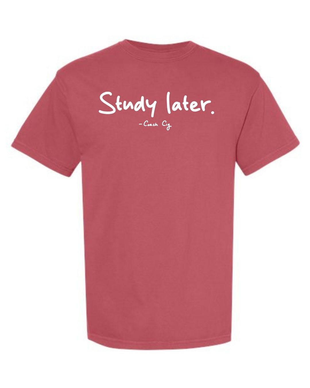 Study Later Comfort Colors Tee